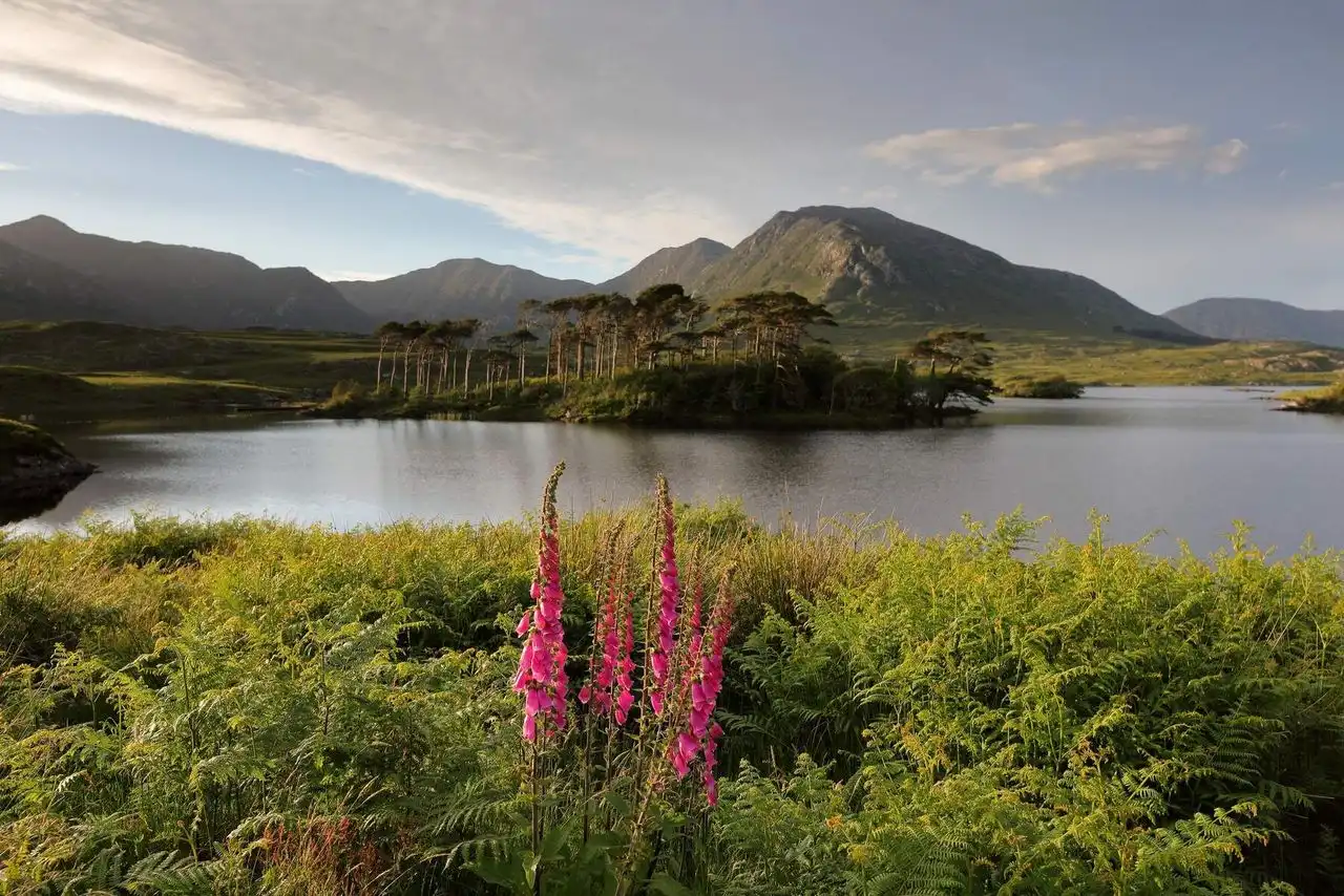 Things to do in Connemara