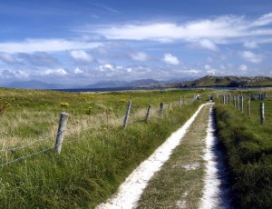 Inishbofin Connemara