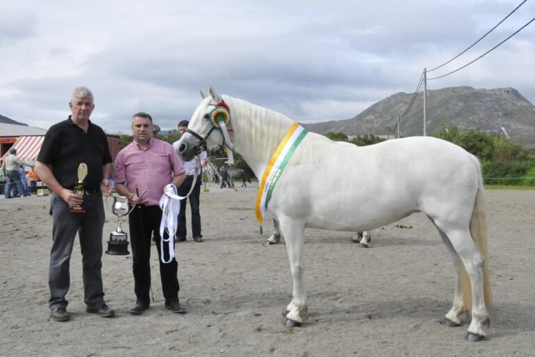 Connemara Ireland Upcoming Events