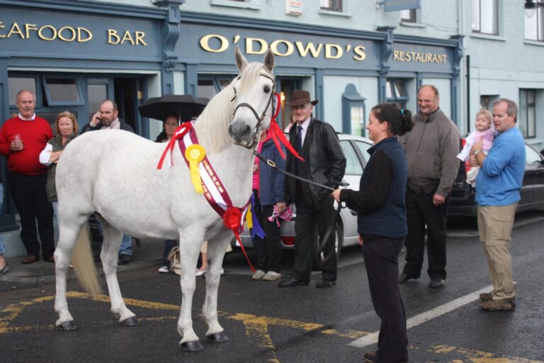 Connemara Ireland Upcoming Events