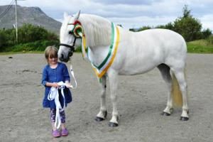 Maam Cross Connemara Pony Show