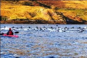 The Great Fjord Swim