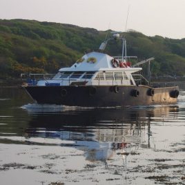 Celtic Queen Sea Angling