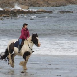 Cleggan Beach Riding Centre