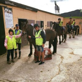 Diamonds Equestrian Centre