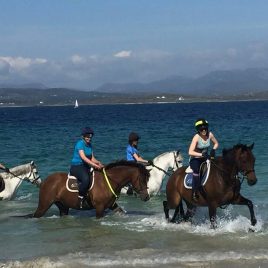 Errislannan Riding Centre & Connemara Pony Stud