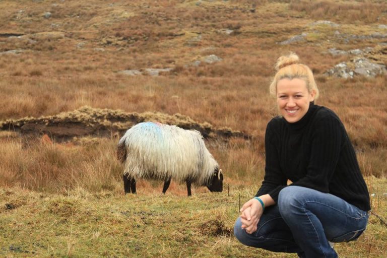 Killary Sheep Farm