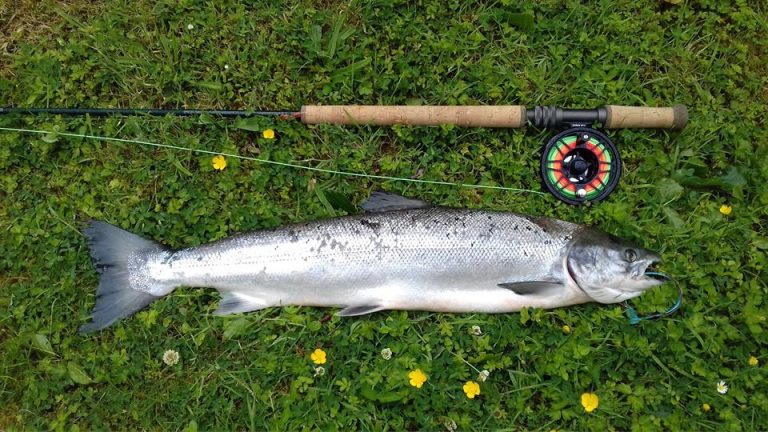 The Erriff Fishery