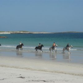 The Point Pony Trekking & Horse Riding Centre