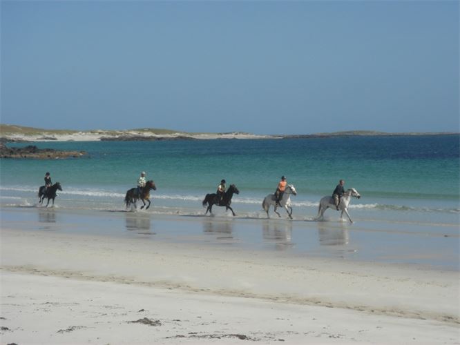 The Point Pony Trekking & Horse Riding Centre