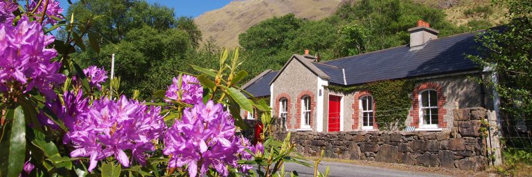 Delphi Holiday Cottages