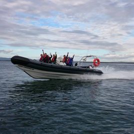 Connemara Sea Safaris
