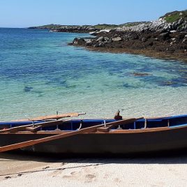 Black Boats