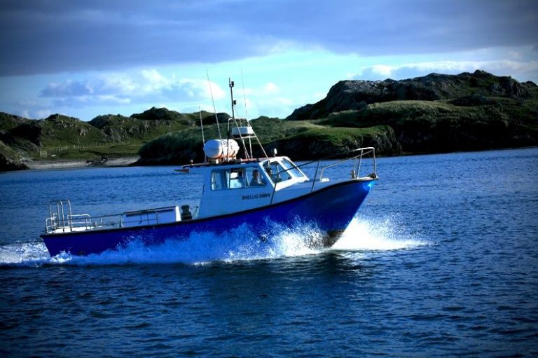 Skellig Dawn