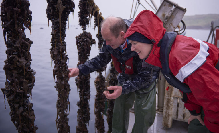 Killary Fjord Shellfish Mussel Farm