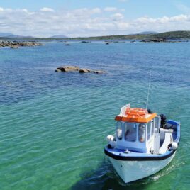 Roundstone Bay And Island Tours