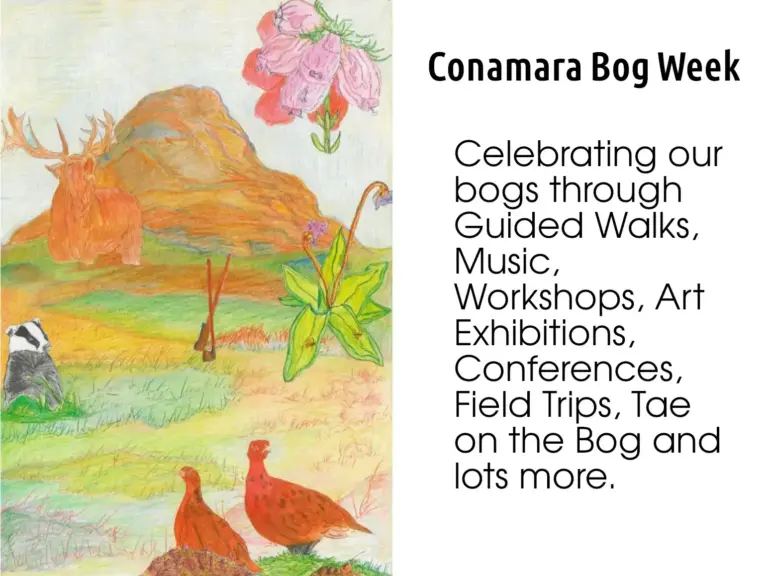 Connemara Ireland Upcoming Events