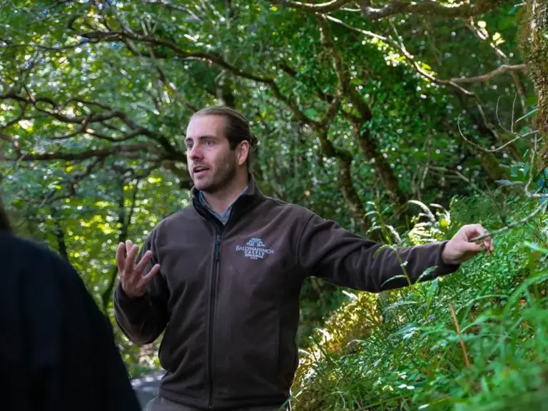 Ballynahinch Guided Estate Walk