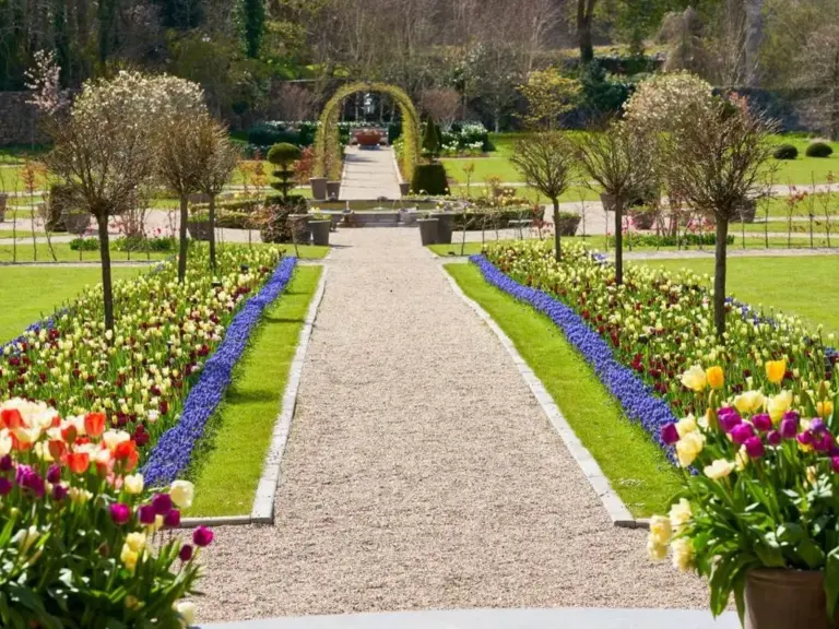 Ballynahinch Walled Garden